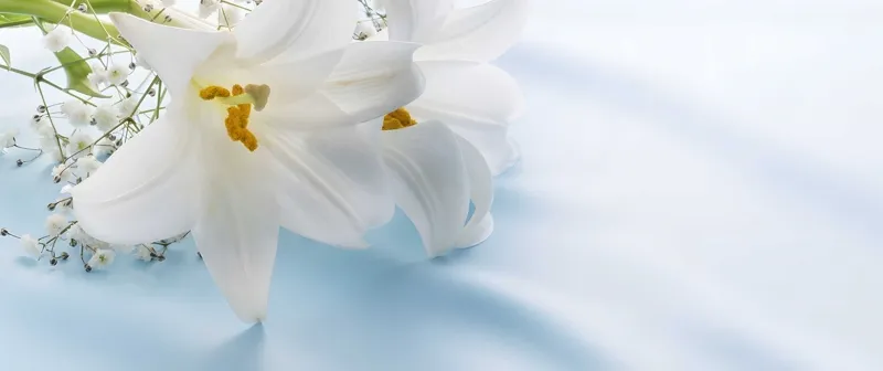 Il nostro team di professionisti funebri